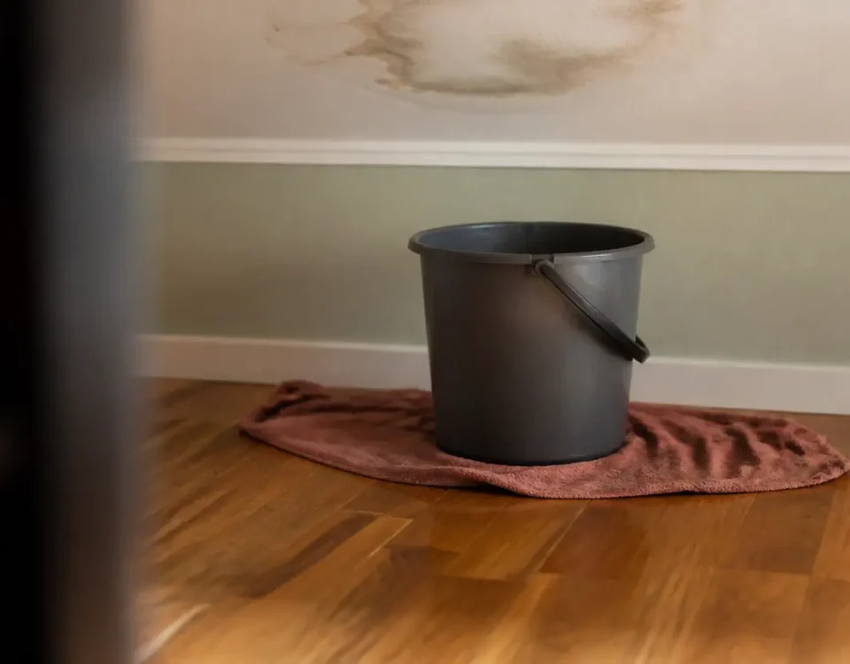 Seau posé sur parquet sous plafond tache d'humidite